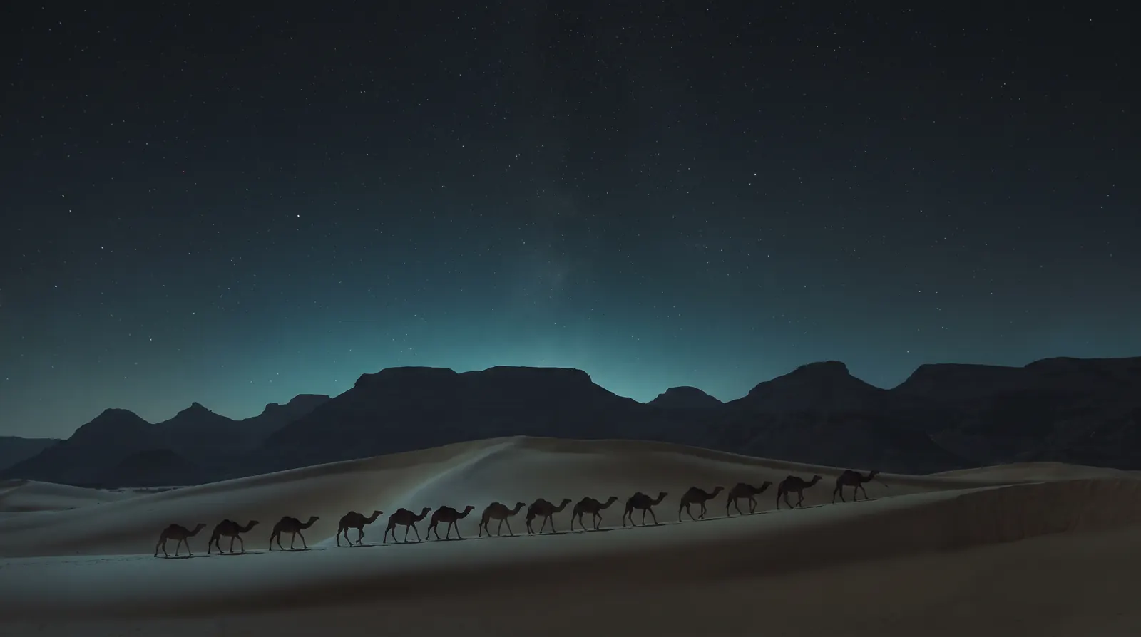 قافلة تسير ليلًا على كثيب تحت سماء مليئة بالنجوم. A caravan walking along a dune at night under a sky full of stars.